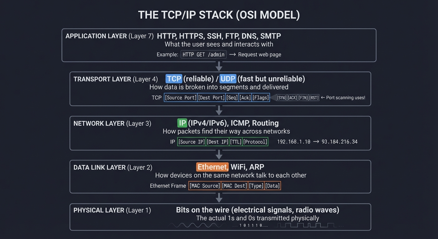 The TCP/IP Stack (OSI Model)