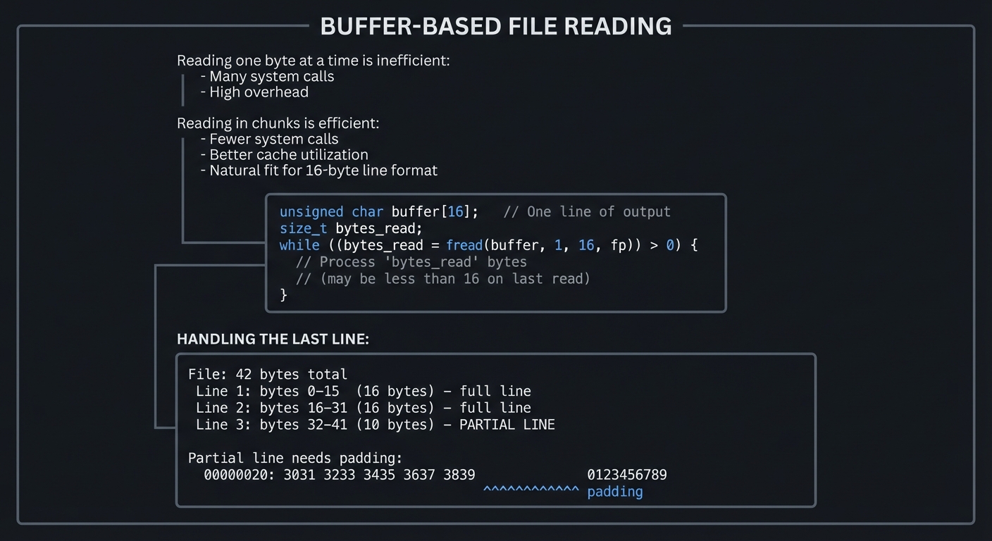 Buffer-Based File Reading