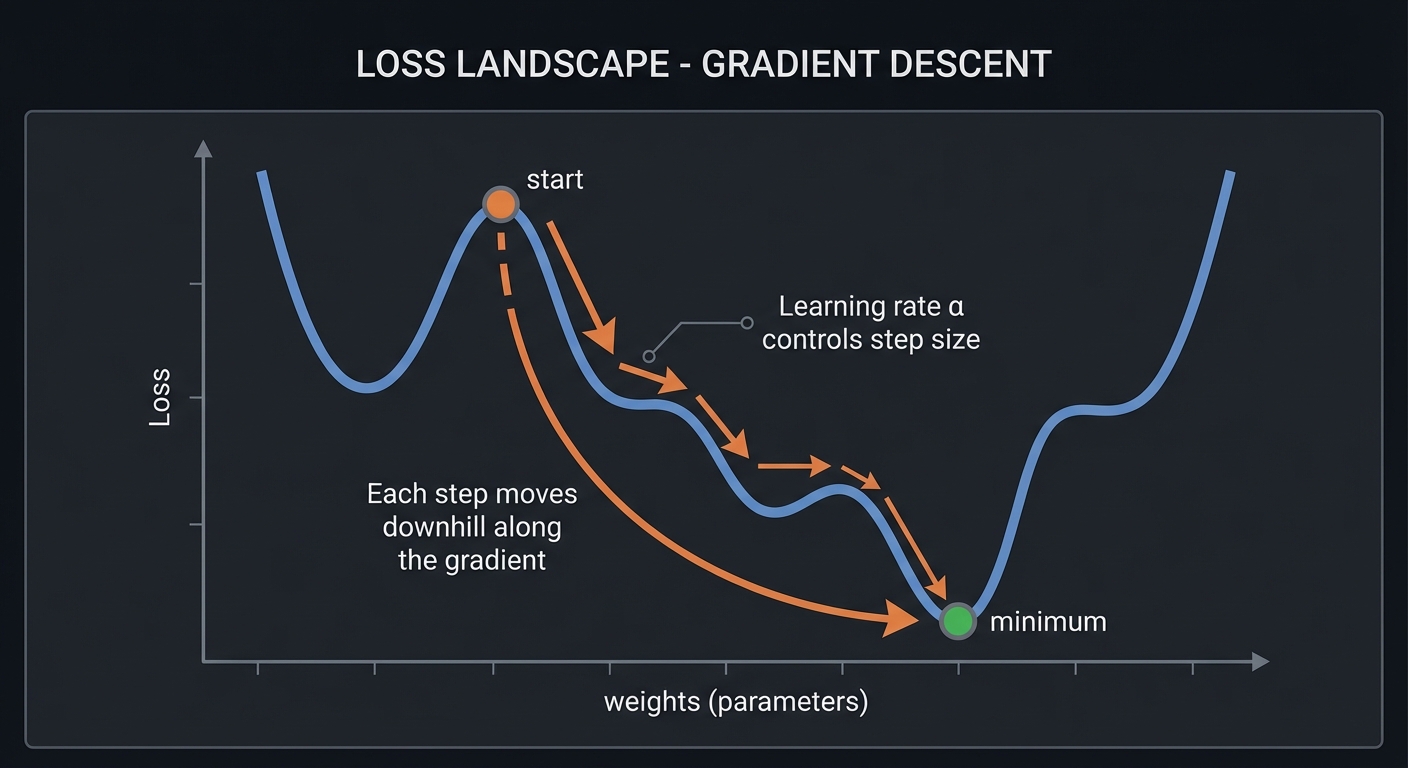 Loss Landscape - Gradient Descent
