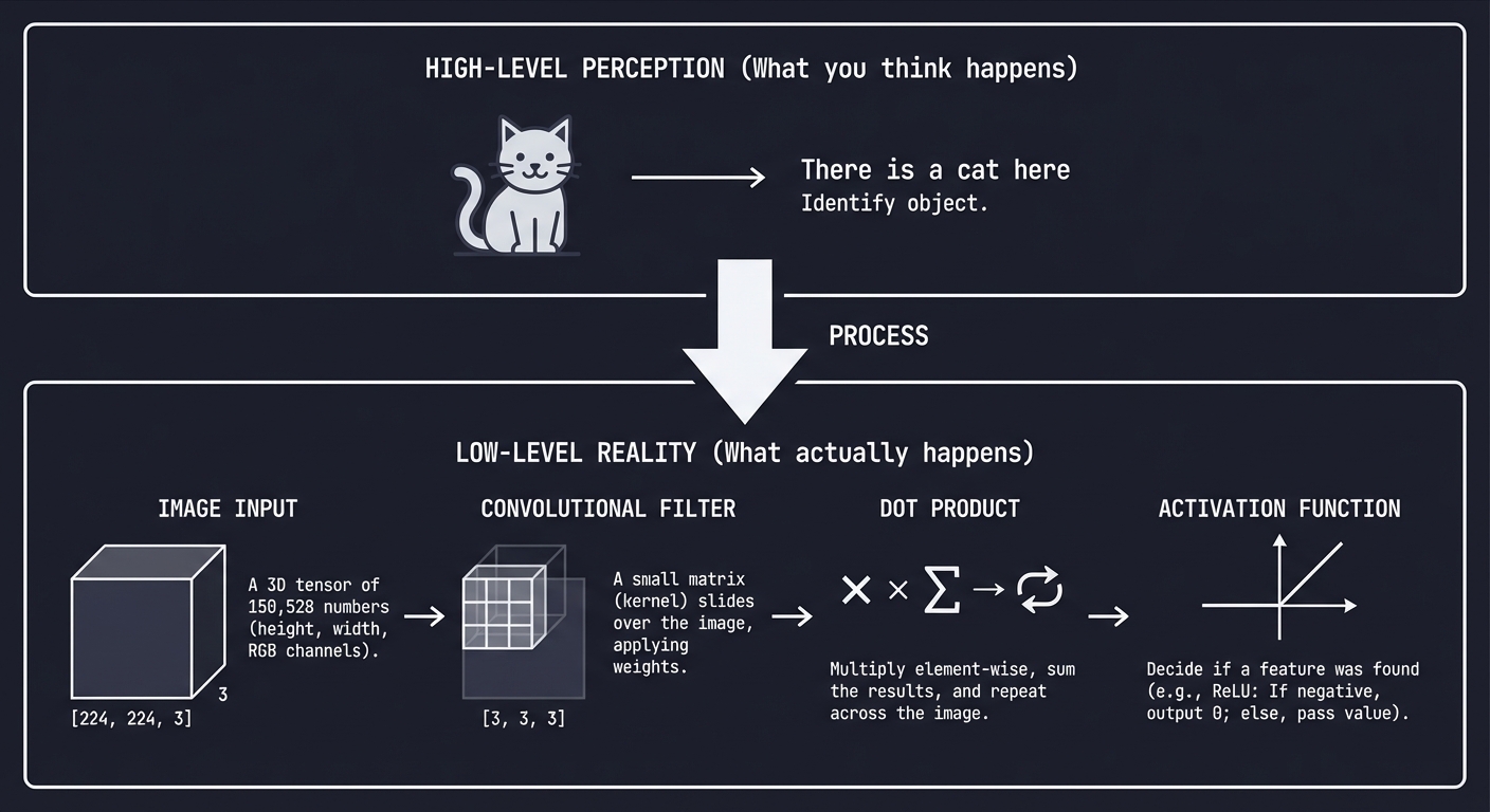 Perception vs Reality