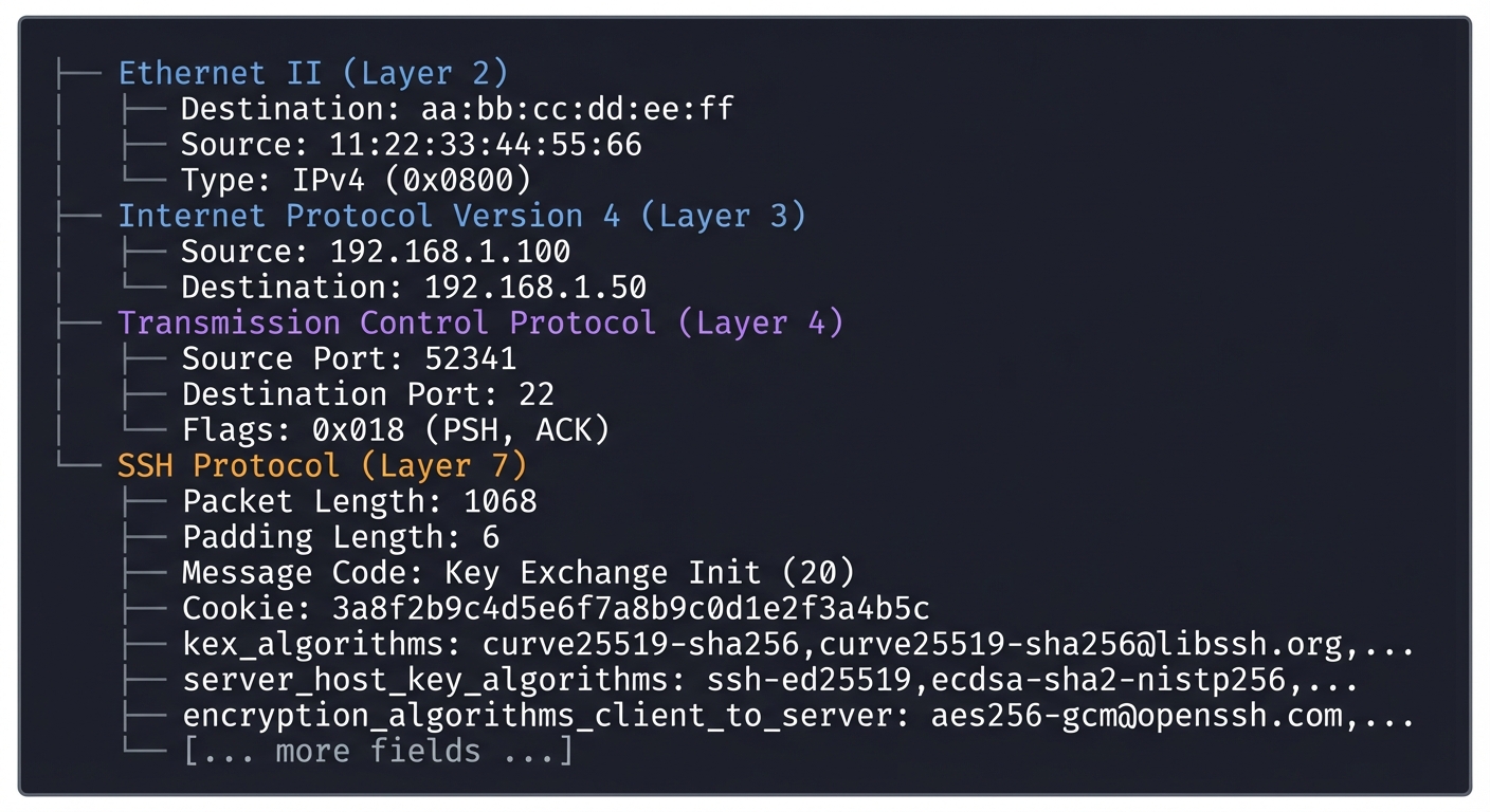 Wireshark Protocol Dissection Tree for SSH