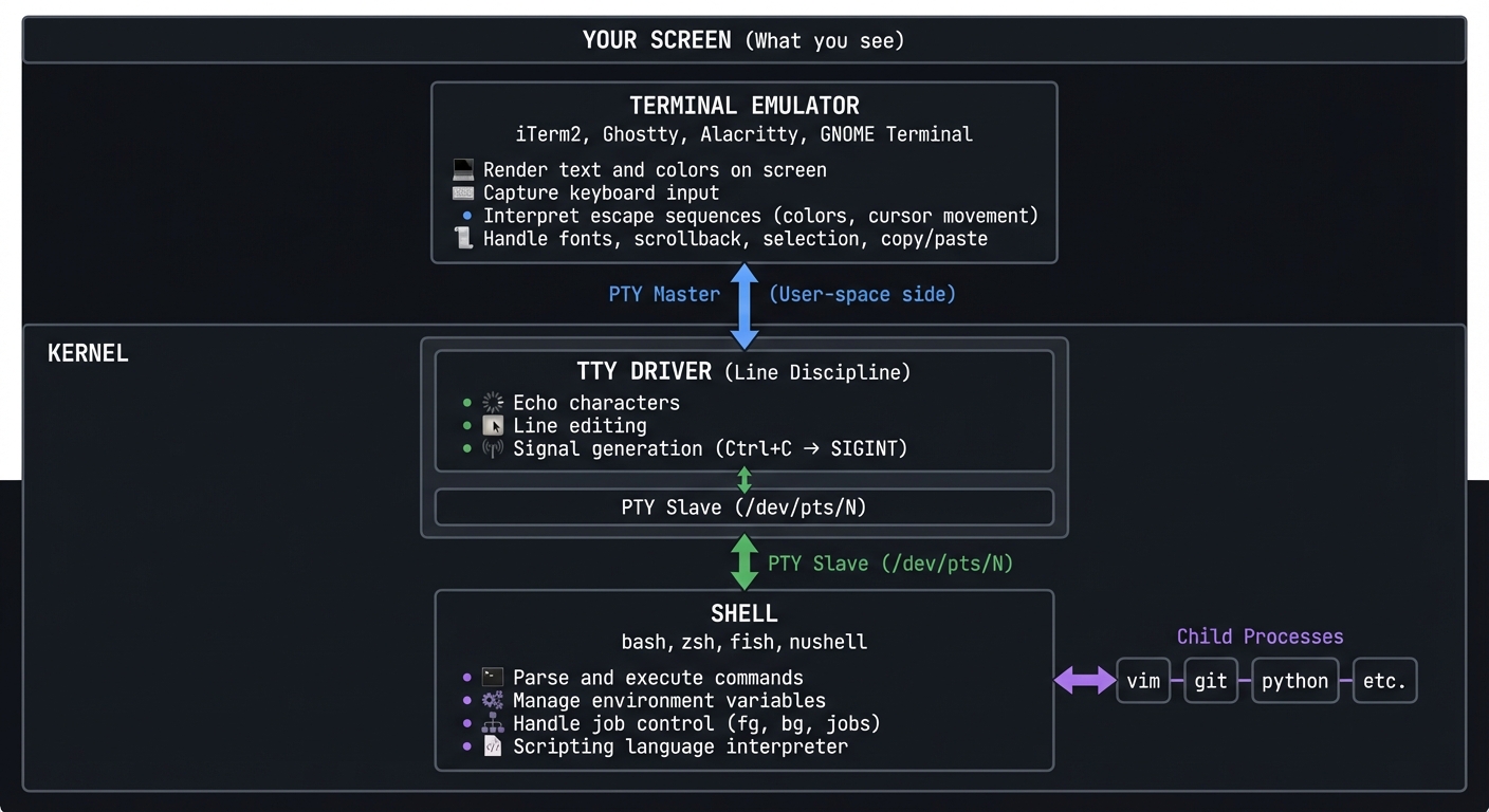 Terminal Architecture: The relationship between Terminal Emulator, PTY, Kernel TTY Driver, Shell, and Child Processes